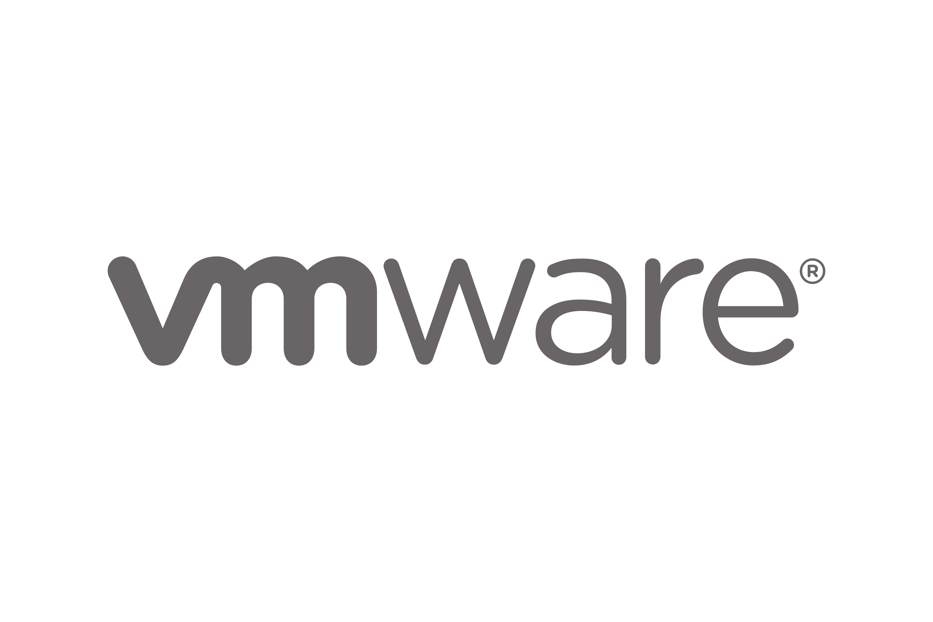 VMWare Partner